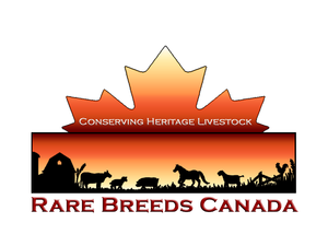 Rare-breeds-logo-final