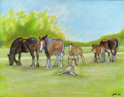 Clydesdales and Foals